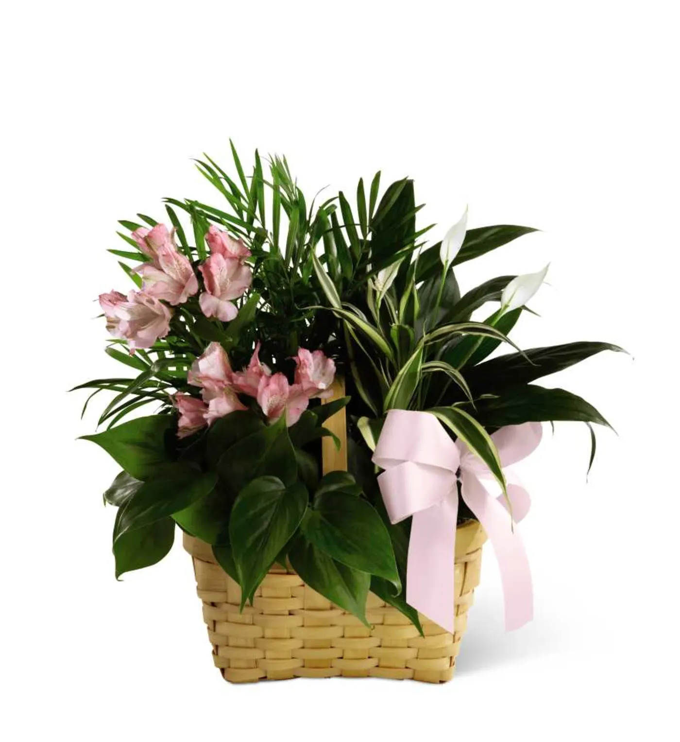 Dish Garden Floral plant basket